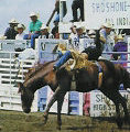 Fort Hall Rodeo