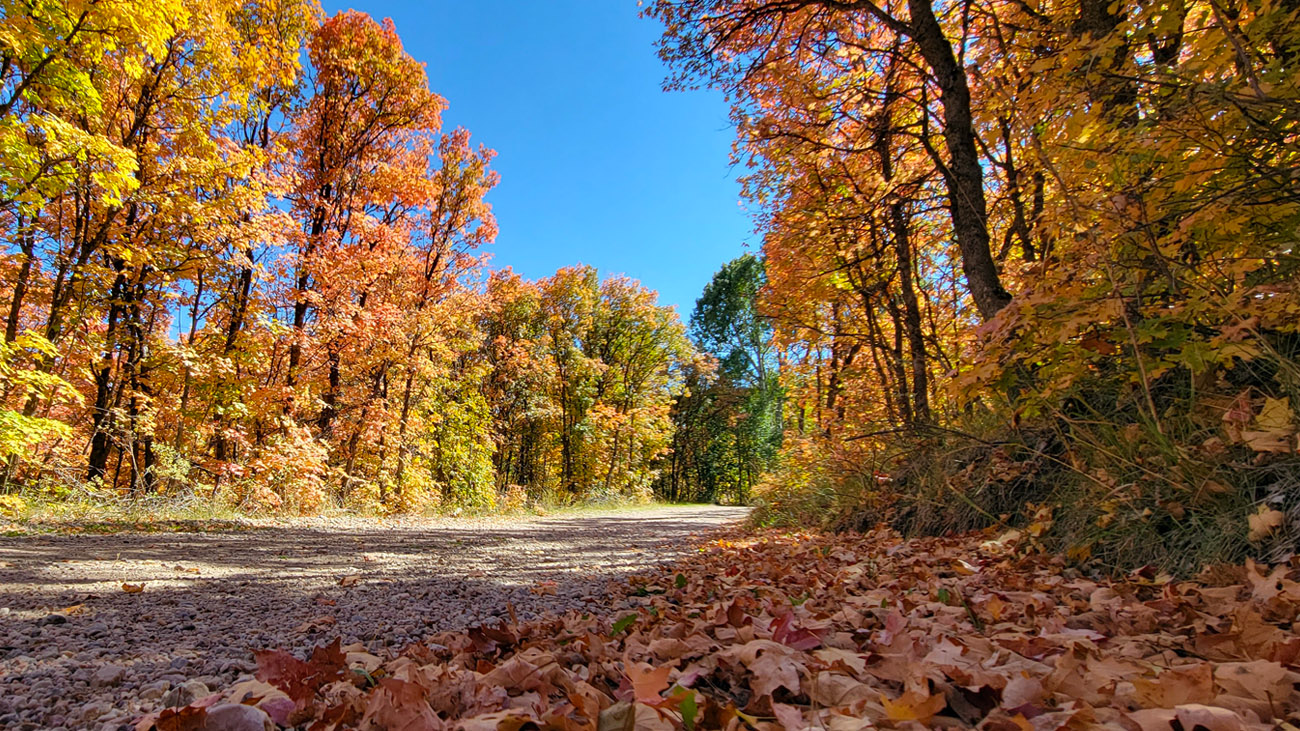 Southeast Idaho Fall Colors Road Trip Vacation