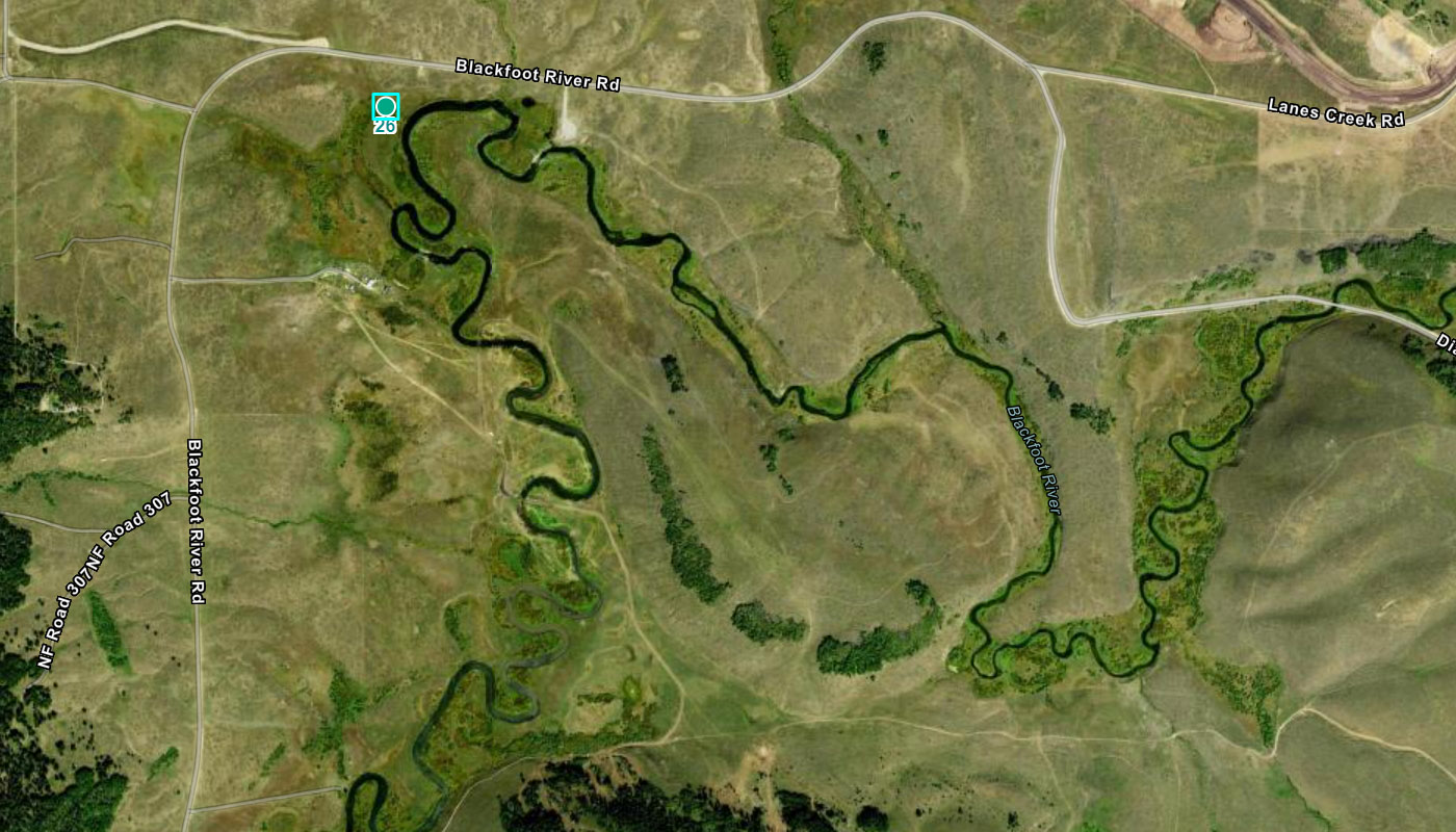 Blackfoot River Wildlife Management Area Birding near Soda Springs Idaho
