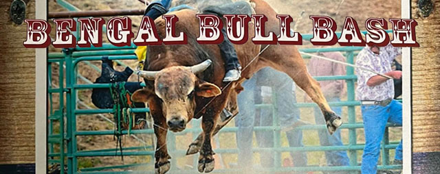 Bengal Bull Bash in Pocatello Idaho