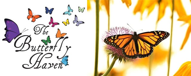 Butterfly Education Awareness Day at Butterfly Haven