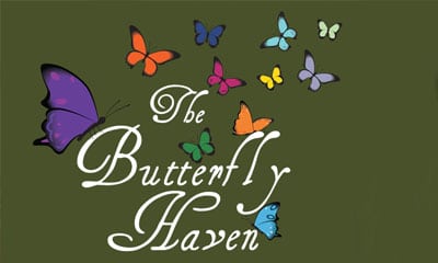 The Butterfly Haven