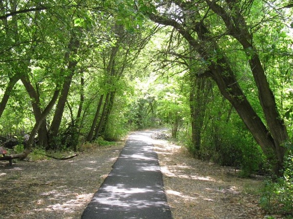 Cherry Springs Nature Trail