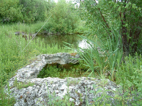 Formation Springs Preserve