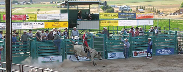 Lava Lions Bulls Only Rodeo in Lava Hot Springs Idaho
