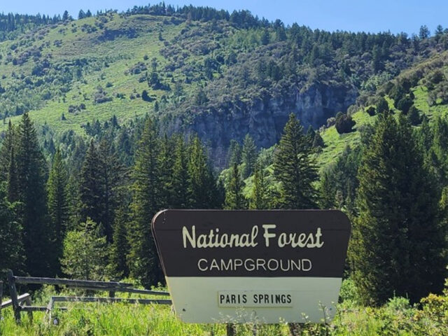 Paris Springs Campground