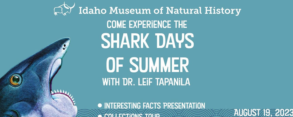 Shark Days of Summer Idaho Museum of Natural History