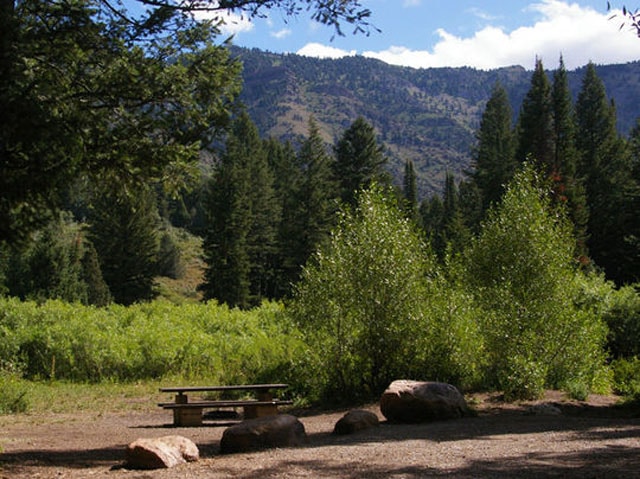 Willow Flat Campground