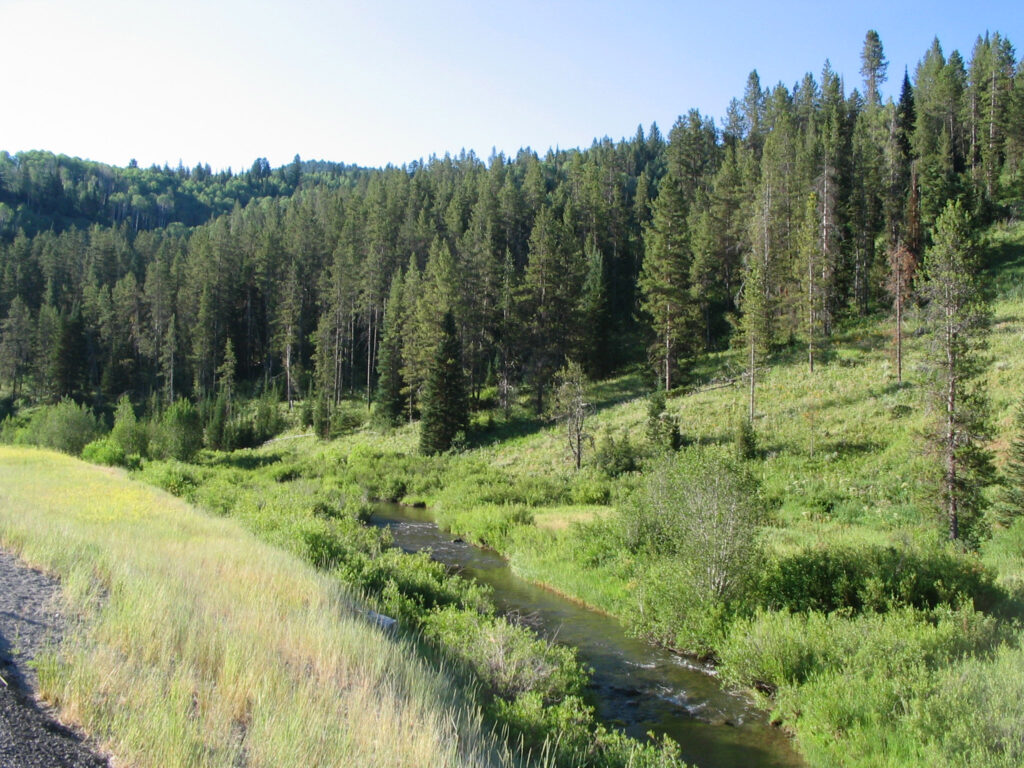 Tincup Canyon & Creek in Southeast Idaho by Tony Varilone